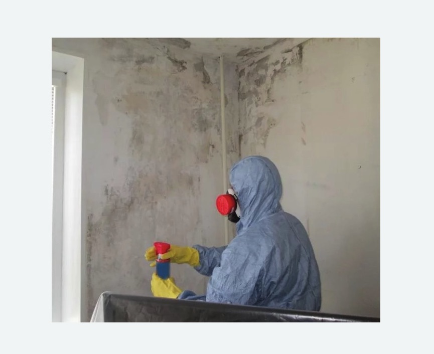 Удаление плесени в квартире Народное Ополчение метро Москвы